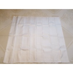 Pure Kanjivaram Silk Saree  - White - Silver zari