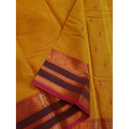 BCK254 - Kanchi Cotton Saree