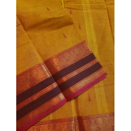 BCK254 - Kanchi Cotton Saree