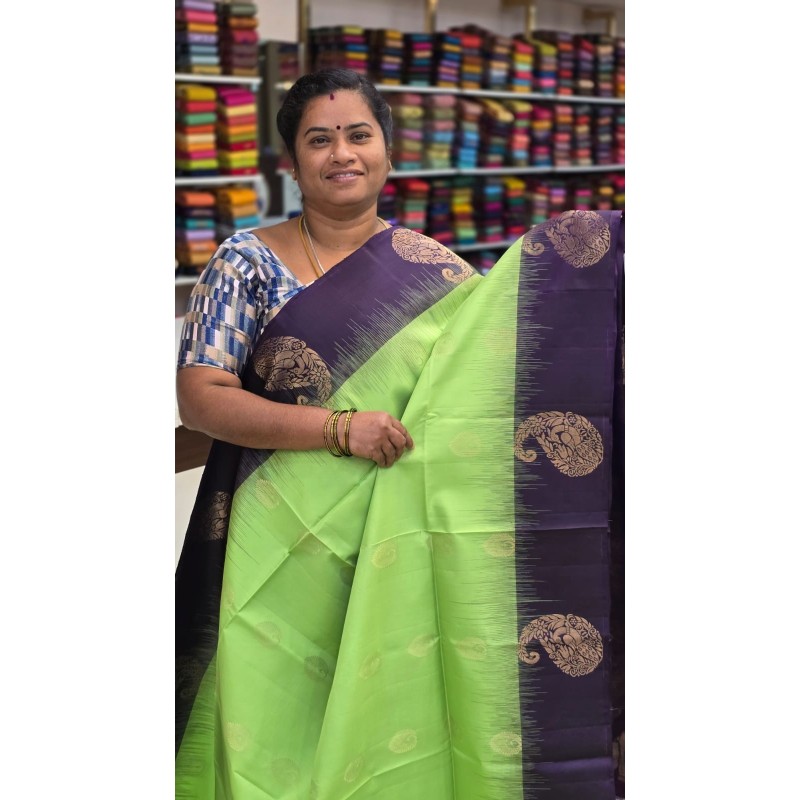 Pure Kanchi Soft Silk Sarees Green and blue