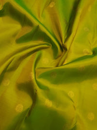 2G Pure Korvai Kanjivaram Silk Saree in Parrot Green with Rich Red & Gold Zari Peacock Border | Silkmark Certified