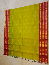 2G Pure Korvai Kanjivaram Silk Saree in Parrot Green with Rich Red & Gold Zari Peacock Border | Silkmark Certified