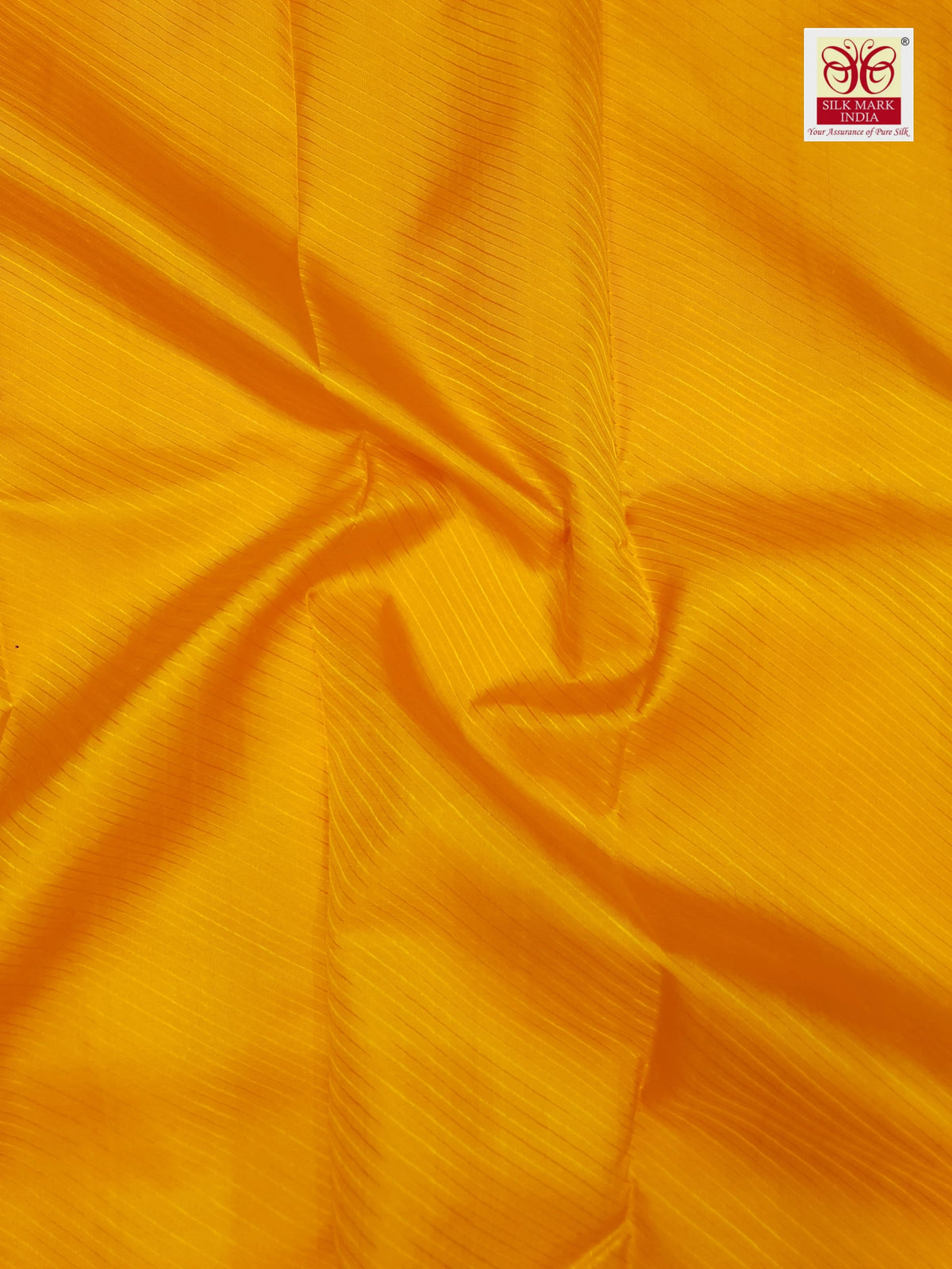 2G Pure Korvai  Kanjivaram Silk Saree in Mustard Yellow with Purple Peacock Zari Border & Rich Pallu | Silkmark Certified