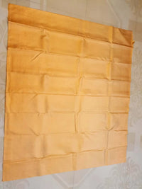2G Pure Kanjivaram Silk Saree in Golden Yellow with Fine Gold Zari Weave & Traditional Zari Border | Silkmark Certified