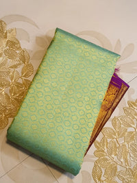 2G Pure Zari Kanjivaram Silk Saree in Pastel Green with Rich Antique Gold Zari Purple Border | Silkmark Certified
