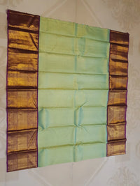 2G Pure Zari Kanjivaram Silk Saree in Pastel Green with Rich Antique Gold Zari Purple Border | Silkmark Certified